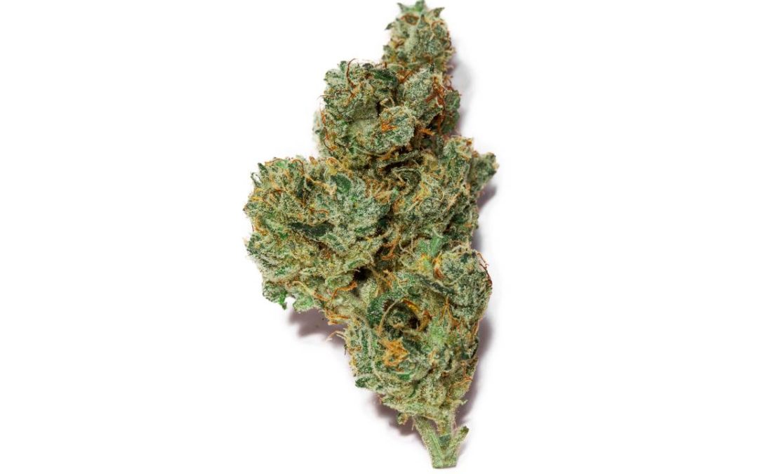 Top Ten Sativa Strains